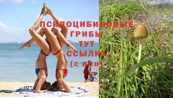 амфетамин Алексеевка