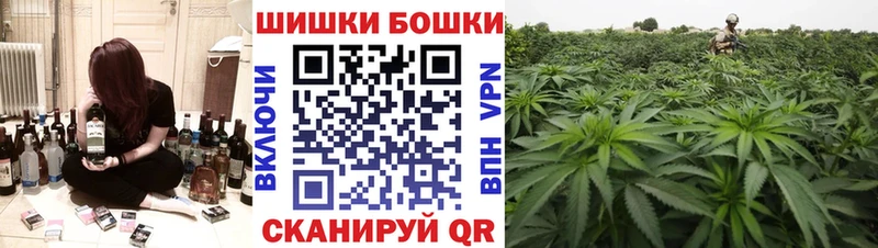 Бошки Шишки THC 21%  Каневская 